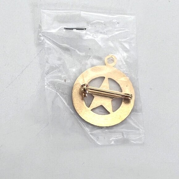 Grayson County Texas Est. 1846 Commemorative Pin Badge Necklace Pendant New - Picture 9 of 9